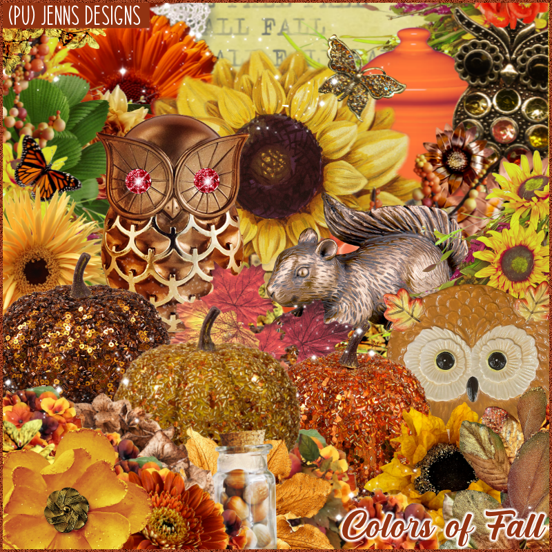 Colors Of Fall - Click Image to Close