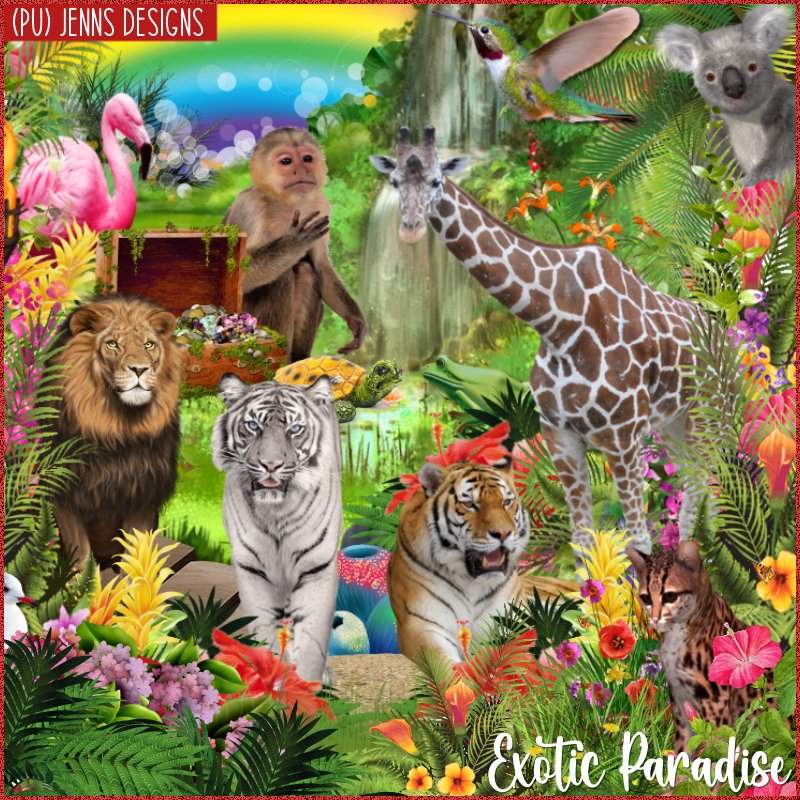 Exotic Paradise - Click Image to Close
