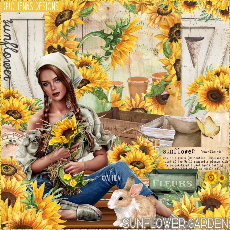 Sunflower Garden - Click Image to Close