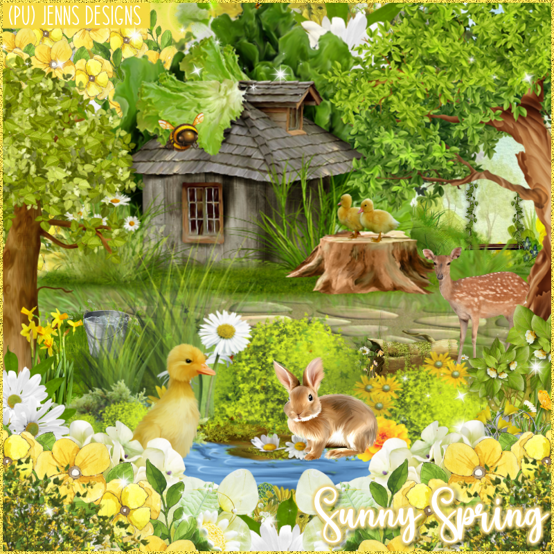 Sunny Spring